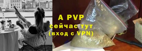 тгк Алексин