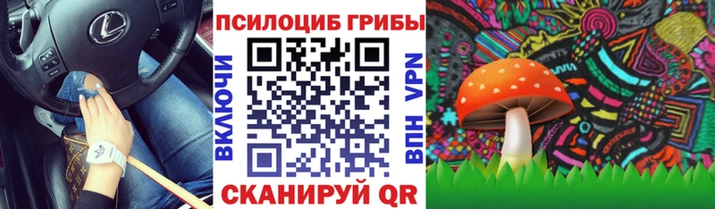 Псилоцибиновые грибы мицелий цены дарк нет телеграм Микунь
